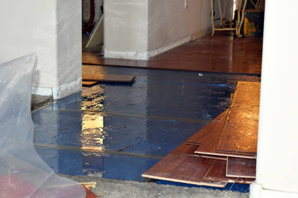 Professional Sewage Cleanup technician working in Newark, TX